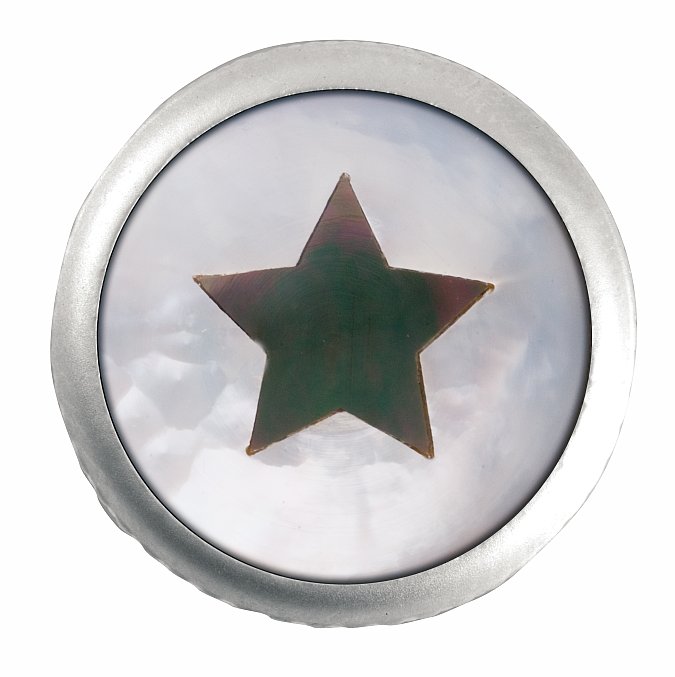 Framus & Warwick - Stacked Potentiometer Dome Knob, Star, Inlay - Satin Chrome