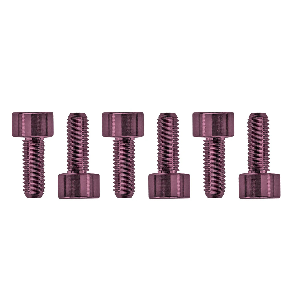 Floyd Rose FROSMSPKP - Color Stainless Steel Saddle Mounting Screws (6 pcs), Pink