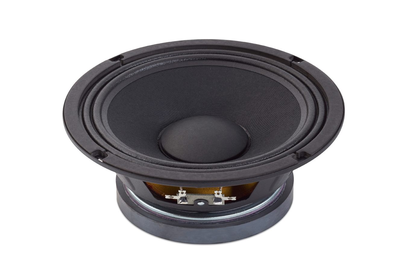 Warwick Amplification Parts - 8" Celestion Speaker TF0818 / 150 W / 8 Ohm - for WCA 208 CE-4 and WCA 408 CE-8