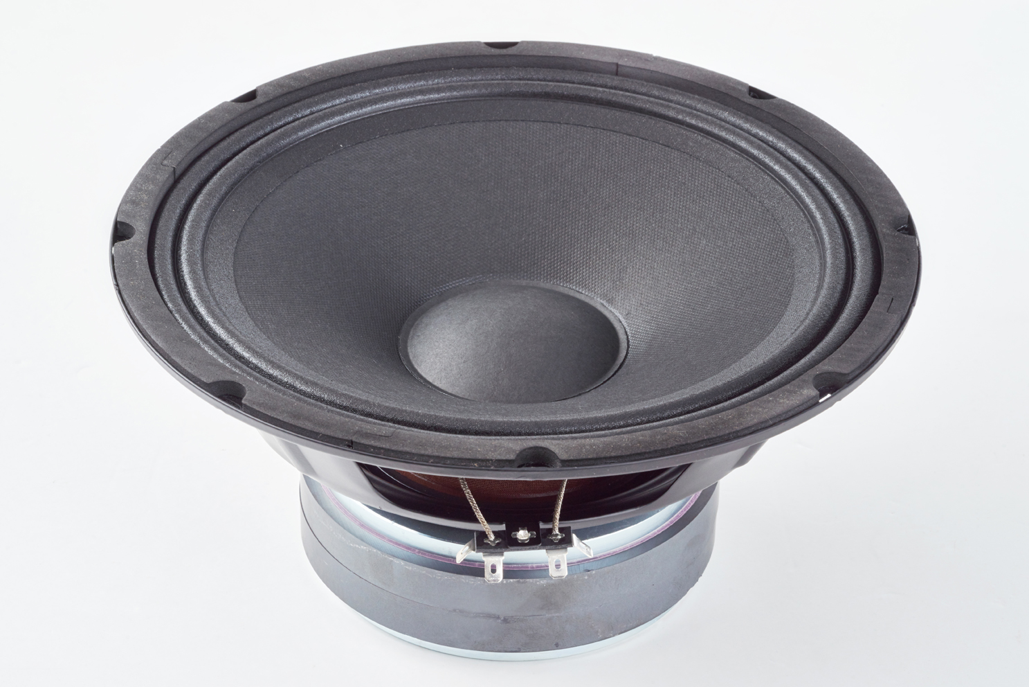 Warwick Amplification Parts - 10" Speaker / 100 W / 4 Ohm - for WCA 210-8 and WCA 410-4